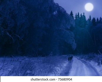 森の中の冬の夜 (道には孤独なオオカミ、空には月)