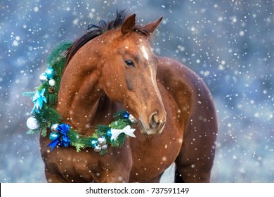 Rood paardportret in de kroon van de Kerstmisdecoratie