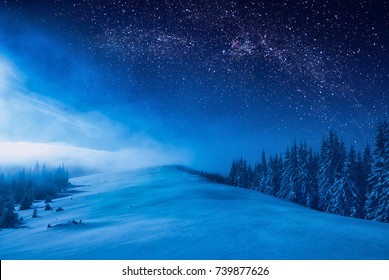Wald auf einem mit Schnee bedeckten Bergrücken. Milchstraße in einem Sternenhimmel. Weihnachtswinternacht.