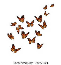 Prachtige vlinder vliegen geïsoleerd op een witte achtergrond.
