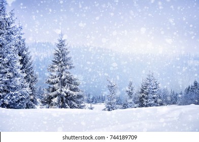 Fairy vinterlandskab med grantræer og snefald. Julehilsen koncept