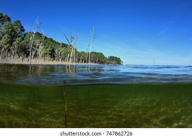 lago biscarrosse en las landas - suroeste de Francia