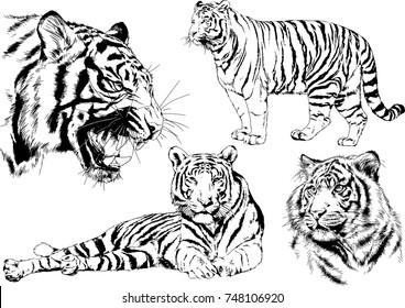 Tiger hand Logo Vector (.AI) Free Download