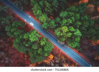 美しい秋の森の道の空撮。空の田舎道、日に緑、赤、オレンジの葉を持つ木々のある素晴らしい風景。公園を通るハイウェイ。飛行ドローンからのトップ ビュー。自然