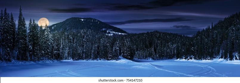 verschneite Wiese im Fichtenwald nachts im Vollmondlicht. Lage Lake Synevyr Ukraine, im Winter zugefroren. schöne naturpanoramalandschaft in den karpaten
