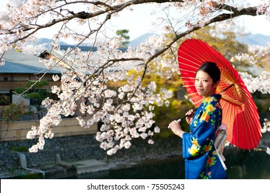 日本の着物を着た女性と桜の肖像画