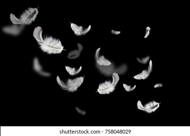 Zachte witte veren die in de lucht zweven op de donkere, zwarte achtergrond