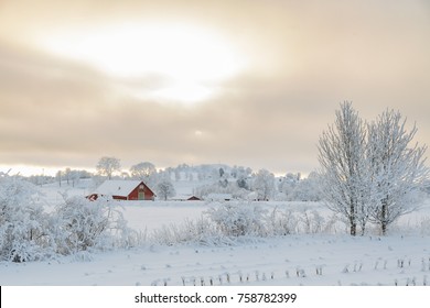 Granero de granja en un frío paisaje invernal con nieve y escarcha