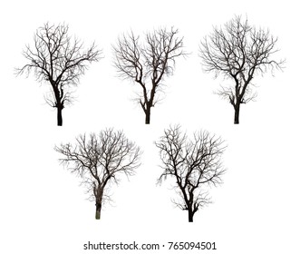 Colección de siluetas de árboles negros aislados sobre fondo blanco, silueta de árboles