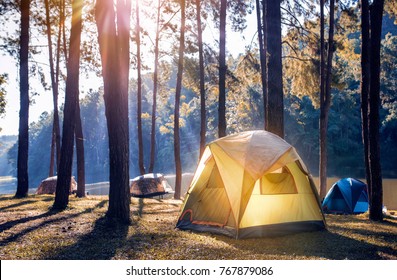 Camping en tent onder het dennenbos bij het meer met prachtig zonlicht in de ochtend