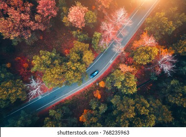 Aerial view of road with blurred car in autumn forest at sunset. Amazing landscape with rural road, trees with red and orange leaves in day. Highway through the park. Top view from flying drone.Nature