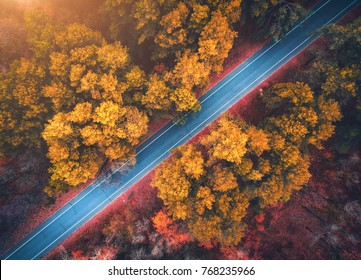 Luchtfoto van de weg in het prachtige herfstbos bij zonsondergang. Prachtig landschap met lege landelijke weg, bomen met rode en oranje bladeren. Snelweg door het park. Bovenaanzicht van vliegende drone. Natuur