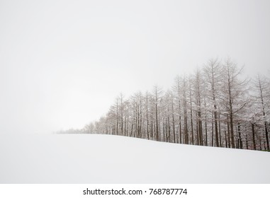 大関嶺ヤンテ農場 凍った雪 韓国 冬