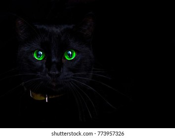 черна котка зелени очи