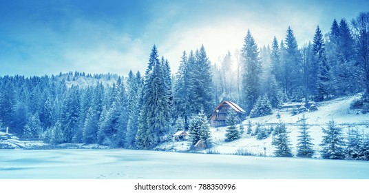 Winterbos in de Karpaten. Het Vitomeer