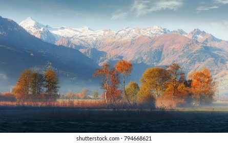 Majestuosa escena brumosa en Alpine Highland bajo la luz del sol. Vista panorámica del hermoso paisaje de montaña en los Alpes. Impresionante imagen de zona salvaje, en Austria. Belleza en el mundo. Paisaje de otoño