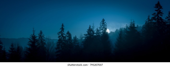 Paysage panoramique nocturne mystérieux aux tons froids - silhouettes de la forêt d'épicéas sous la pleine lune et le ciel nocturne dramatique.