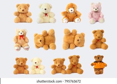 Fügen Sie einen süßen und schönen Teddybären hinzu.