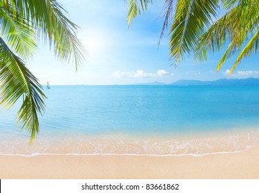 pantai tropis yang indah