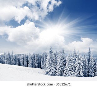 Pemandangan musim dingin yang indah dengan pepohonan yang tertutup salju