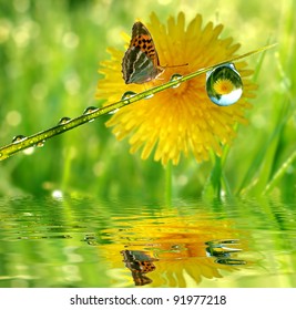 waterdruppels op groen gras met vlinder