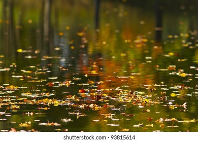 Colorido follaje de otoño reflejo en el lago