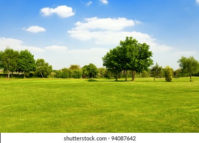 Hierba verde en un campo de golf