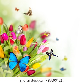 Hermosas flores de primavera con mariposas