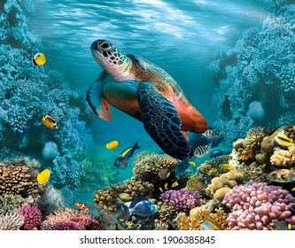 Image for 3d floor. Underwater world. Turtle. corals.