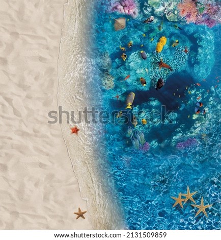 An image for a 3d floor. Underwater world. Turtle. corals.