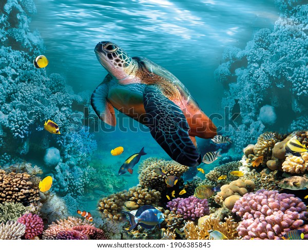 Image for\
3d floor. Underwater world. Turtle.\
corals.