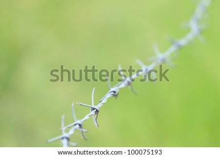 Barbed wire on green background