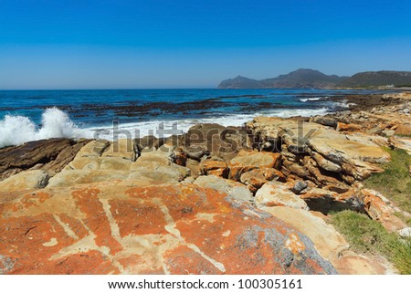 Colorful sandstone coast near Buffels Bay, Cape Peninsula, Western Cape, South Africa.