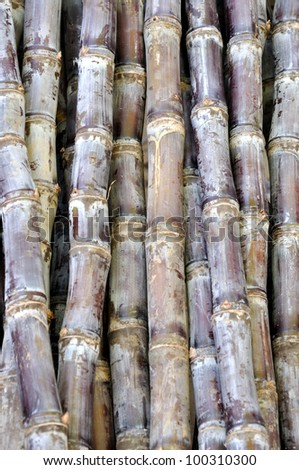 Stack of sugarcane