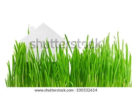 Green house concept. paper house on fresh grass land.