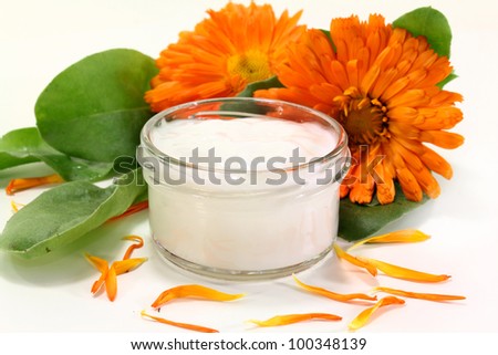 a pot marigold salve with fresh blossoms