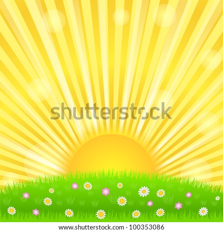 Sunburst and green meadow with flowers, vector eps10 illustration