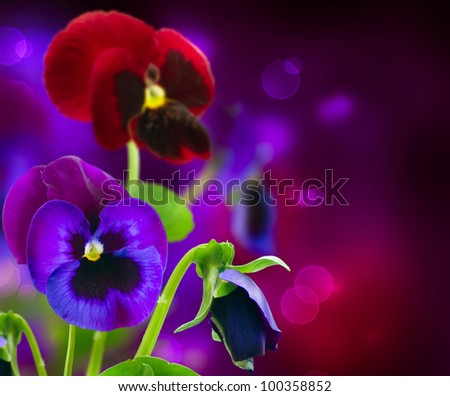 Spring Flowers Pansy over Black art border design