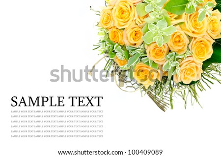 Beautiful orange rose and space for Graphic Design