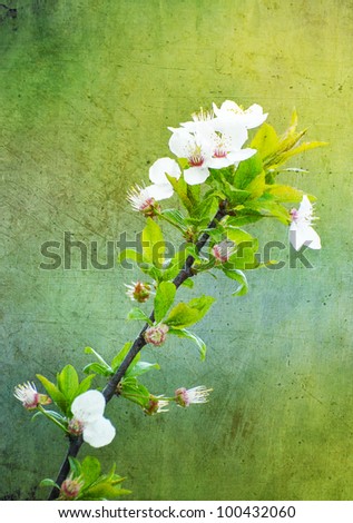 Grunge style apple flowers