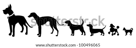 Different Sized Dogs Silhouette Icon Symbol Set EPS 8 vector, grouped for easy editing. No open shapes or paths.