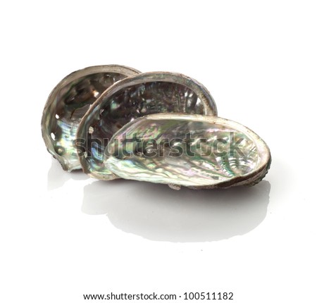 Mother of pearl isolated on white background