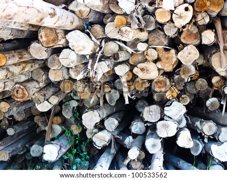 a wood cut is a log