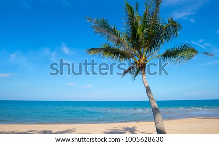 Scenic view of the sea beach with coconut trees in front.