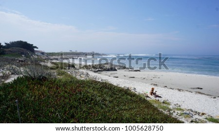 A picture of Pebble Beach in California.