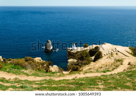 The bride and groom on the edge of the cliff above the sea, summer day, landscape, romance