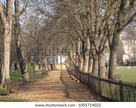 A path in the park. Trees in both edges of the path. Wooden benches on the left and a field on the right
