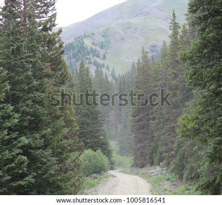 Mountain forest road