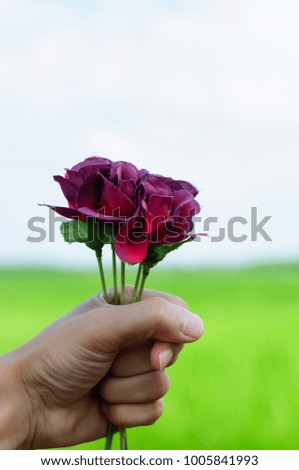 Flower in hand and field background