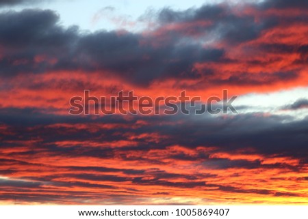 Cloudscape with pink and purple colors. Big lengthened clouds lighted by the sunrise. Bright color shapes in the matinal cloudy sky. Natural and fresh pattern in the morning. Peaceful image.  